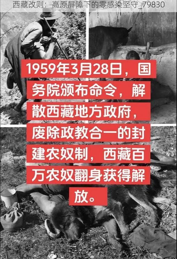 西藏改则：高原屏障下的零感染坚守_79830
