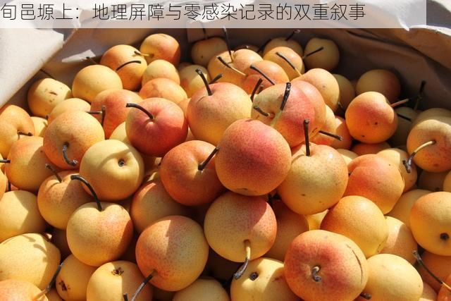 旬邑塬上:地理屏障与零感染记录的双重叙事