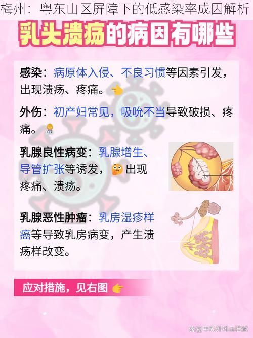 梅州：粤东山区屏障下的低感染率成因解析