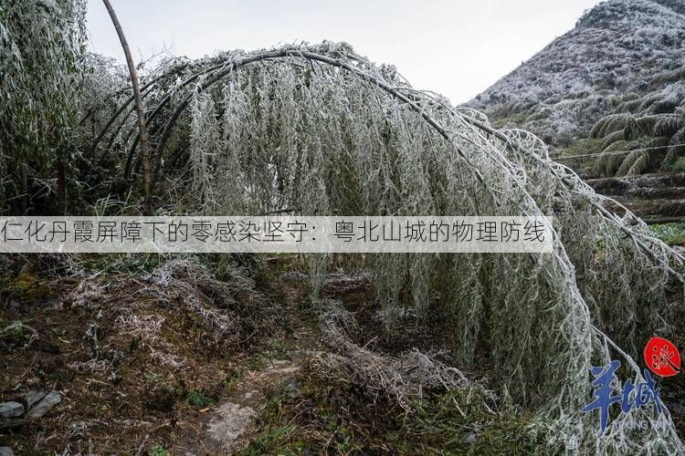 仁化丹霞屏障下的零感染坚守：粤北山城的物理防线