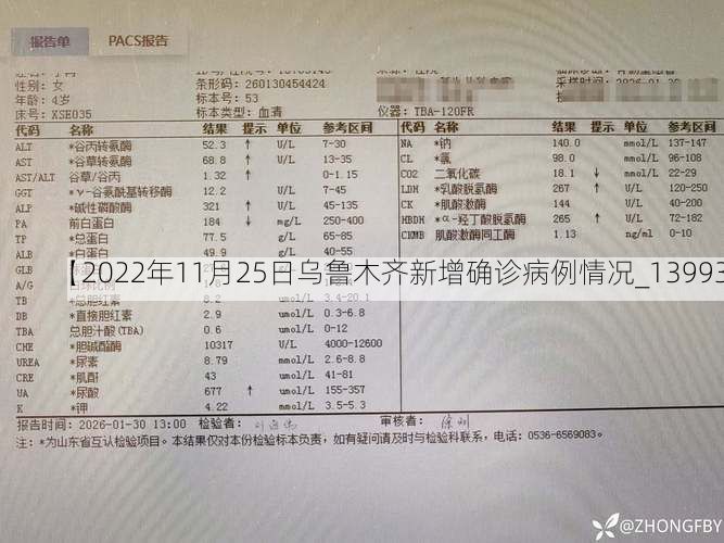【2022年11月25日乌鲁木齐新增确诊病例情况_13993】
