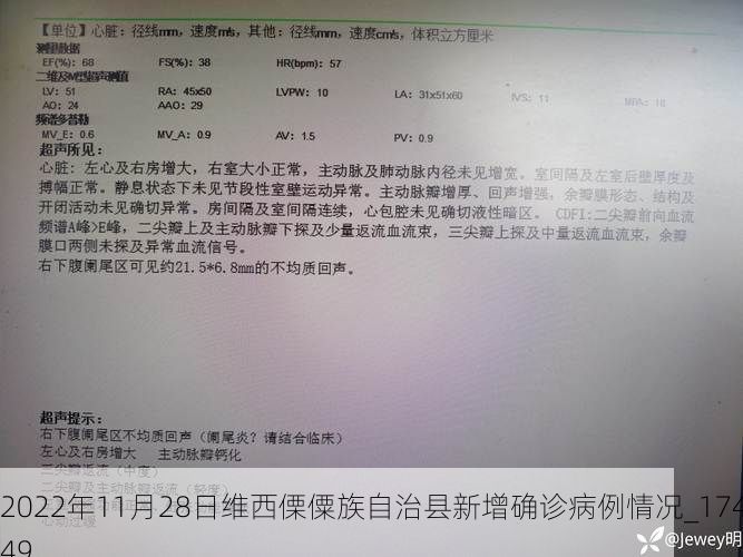 2022年11月28日维西傈僳族自治县新增确诊病例情况_17449