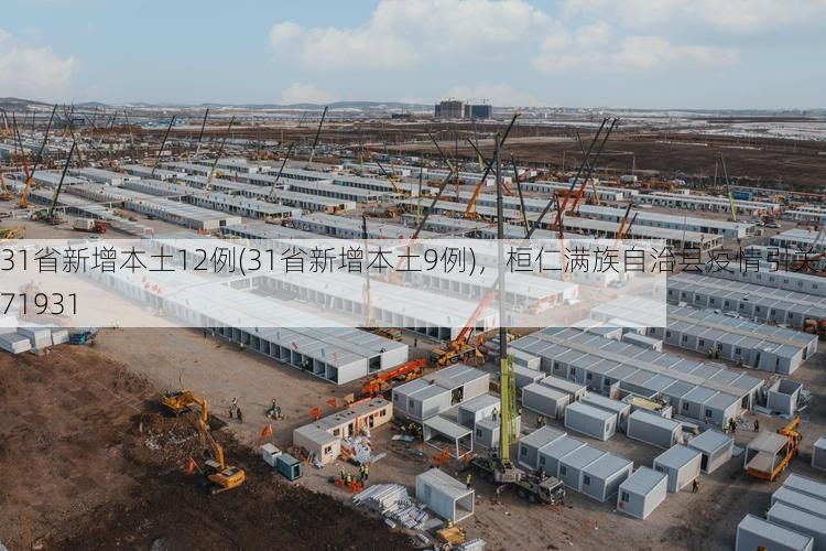 31省新增本土12例(31省新增本土9例)，桓仁满族自治县疫情引关注_71931