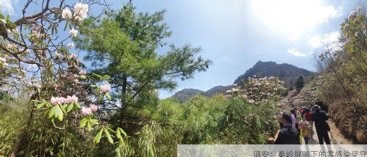 镇安：秦岭屏障下的零感染坚守
