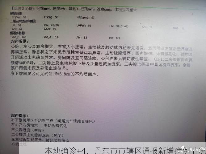 本地确诊+4，丹东市市辖区通报新增病例情况
