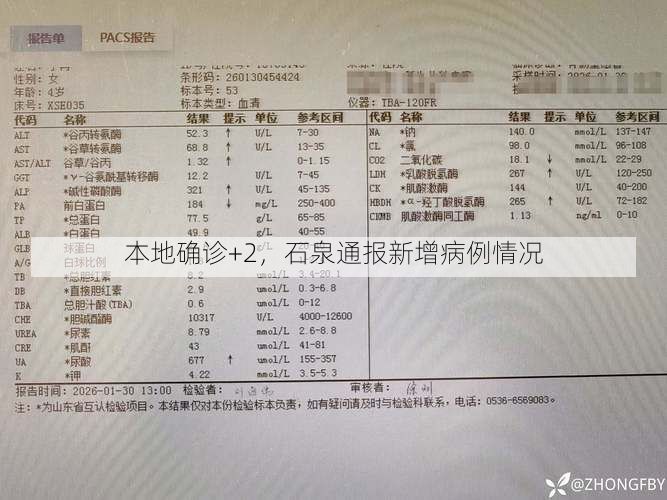 本地确诊+2,石泉通报新增病例情况