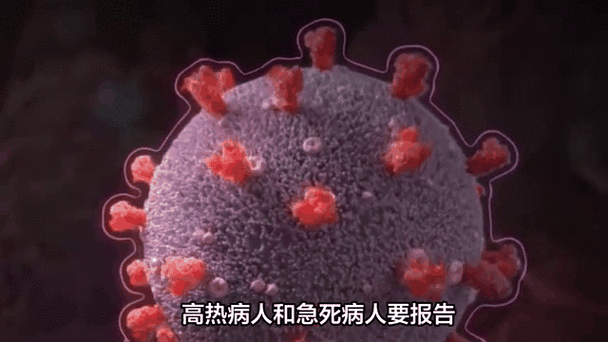 2022年11月25日苏尼特右旗新增确诊病例情况_73081