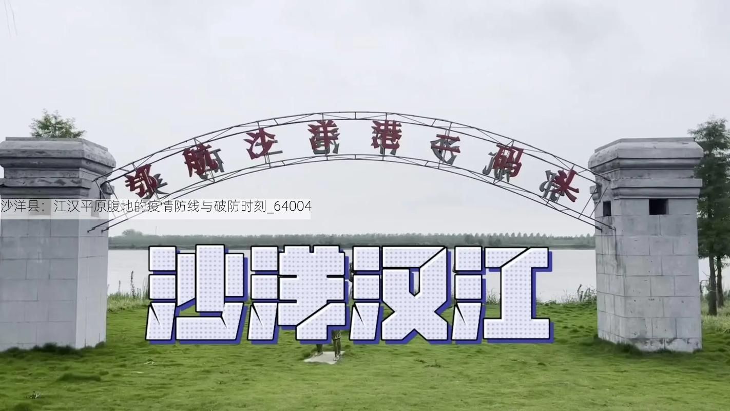沙洋县:江汉平原腹地的疫情防线与破防时刻_64004