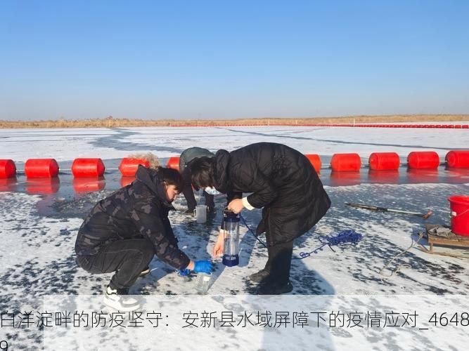 白洋淀畔的防疫坚守：安新县水域屏障下的疫情应对_46489