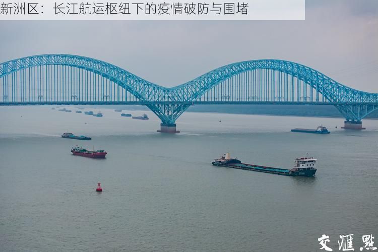 新洲区:长江航运枢纽下的疫情破防与围堵