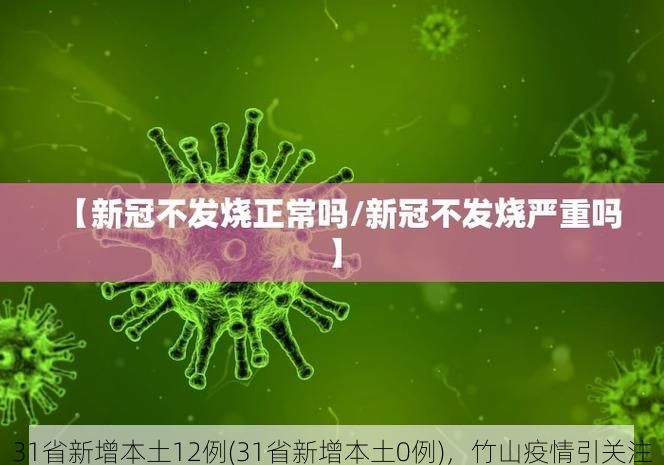 31省新增本土12例(31省新增本土0例),竹山疫情引关注