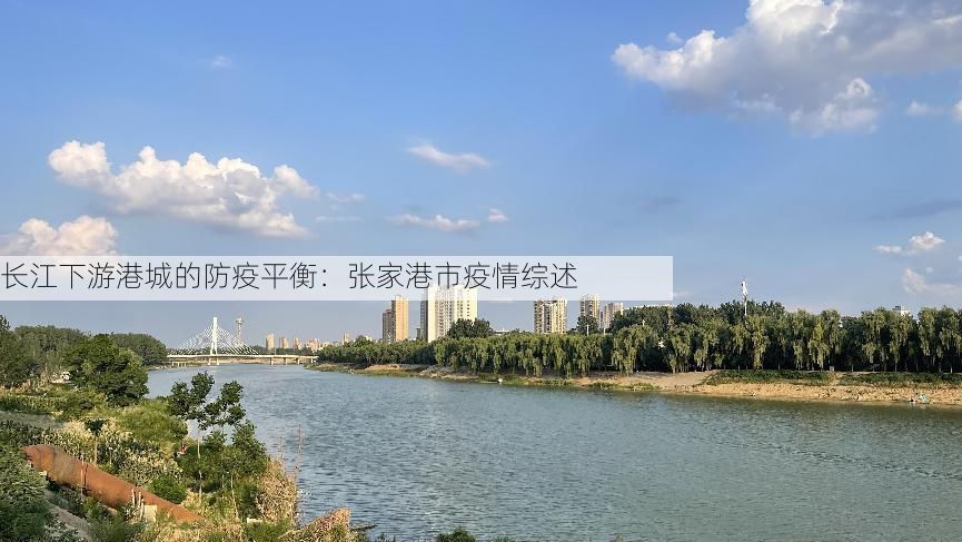 长江下游港城的防疫平衡:张家港市疫情综述