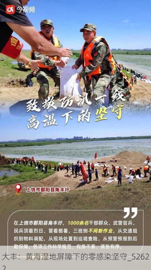 大丰：黄海湿地屏障下的零感染坚守_52622
