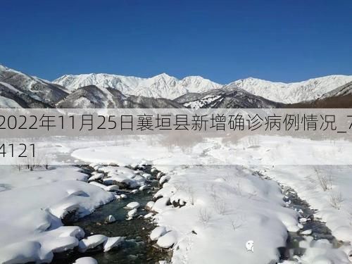 2022年11月25日襄垣县新增确诊病例情况_74121