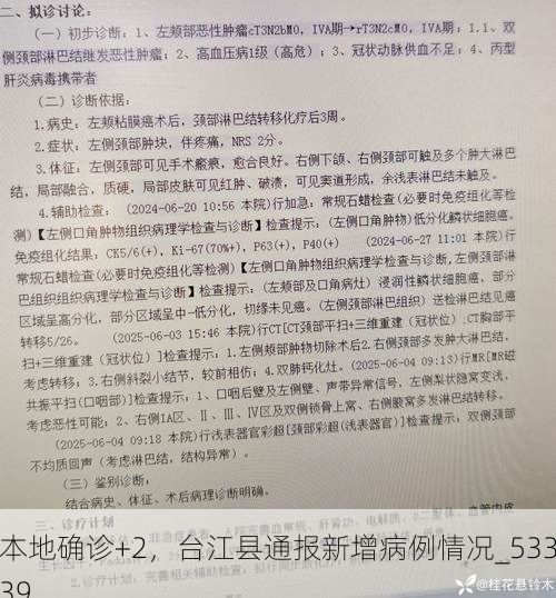 本地确诊+2,台江县通报新增病例情况_53339