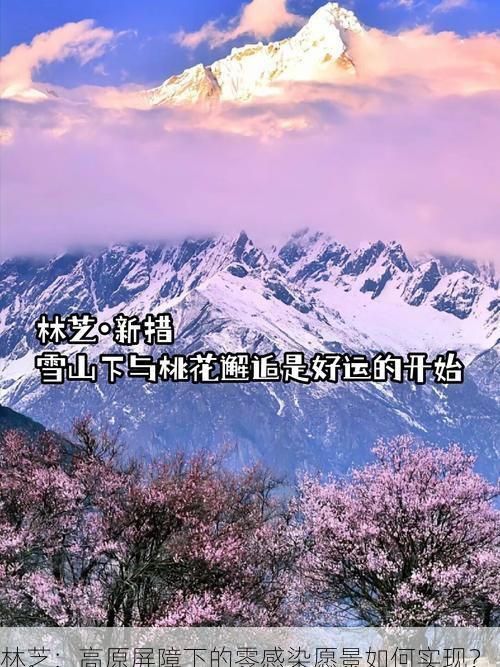 林芝:高原屏障下的零感染愿景如何实现?