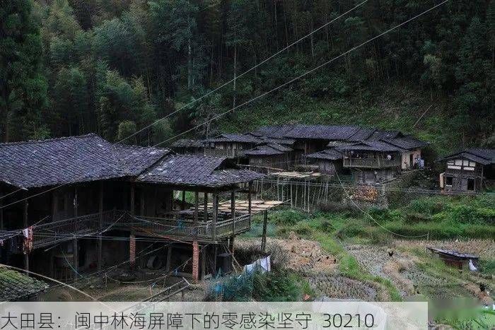 大田县:闽中林海屏障下的零感染坚守_30210