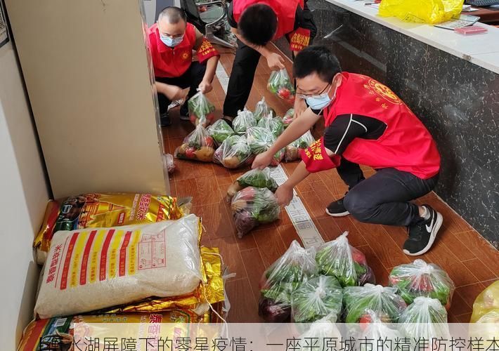 【衡水湖屏障下的零星疫情：一座平原城市的精准防控样本】