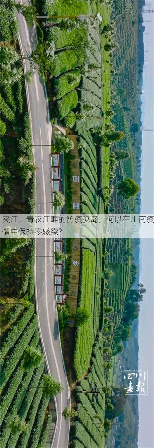 夹江:青衣江畔的防疫孤岛,何以在川南疫情中保持零感染?