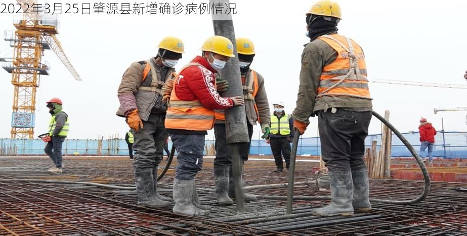 2022年3月25日肇源县新增确诊病例情况