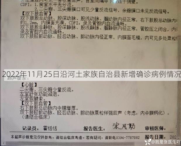 2022年11月25日沿河土家族自治县新增确诊病例情况