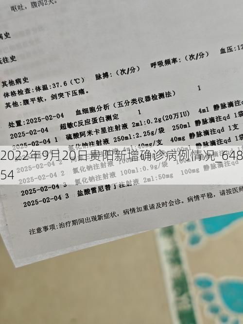 2022年9月20日贵阳新增确诊病例情况_64854