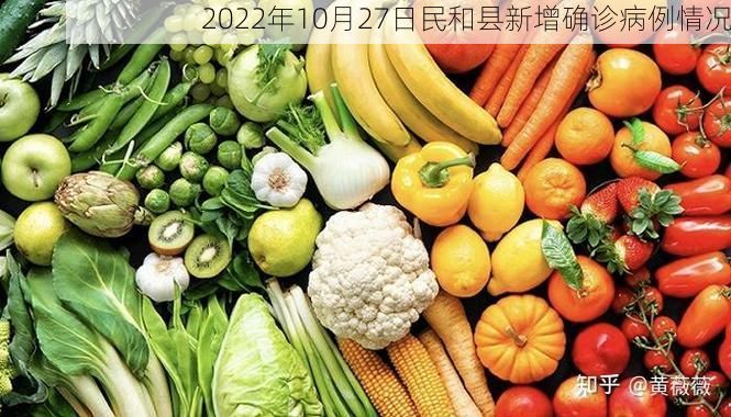 2022年10月27日民和县新增确诊病例情况
