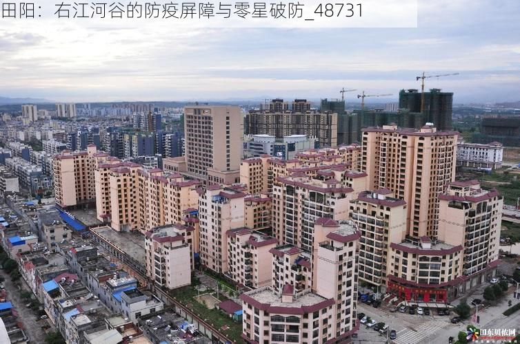 田阳:右江河谷的防疫屏障与零星破防_48731