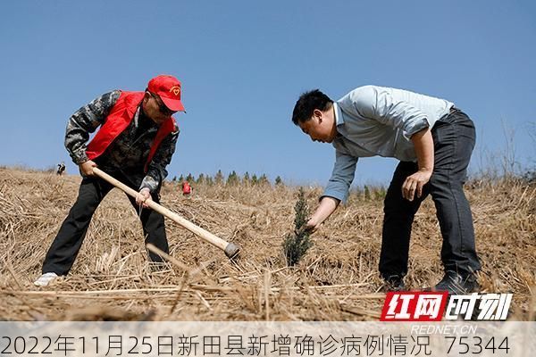 2022年11月25日新田县新增确诊病例情况_75344