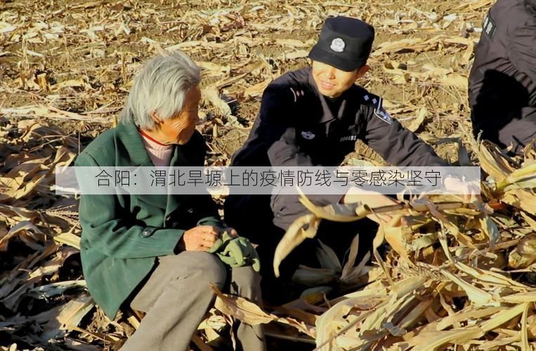 合阳：渭北旱塬上的疫情防线与零感染坚守