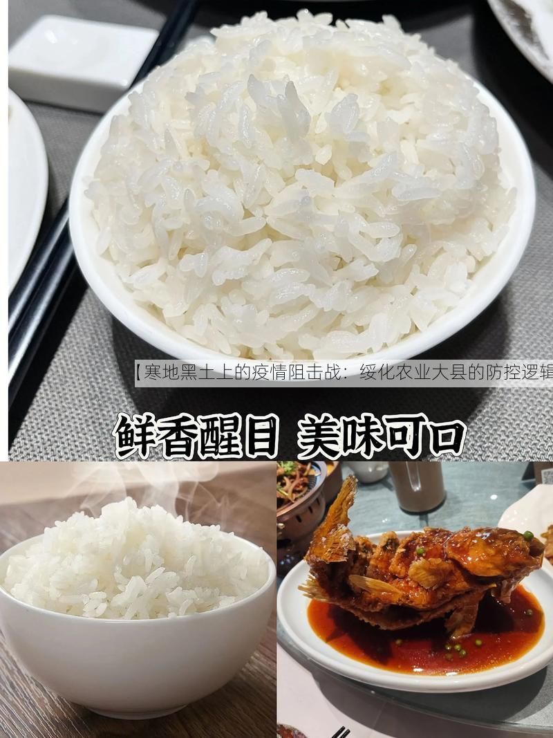 【寒地黑土上的疫情阻击战：绥化农业大县的防控逻辑】