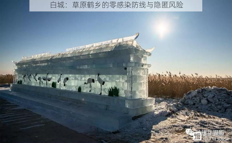 白城：草原鹤乡的零感染防线与隐匿风险