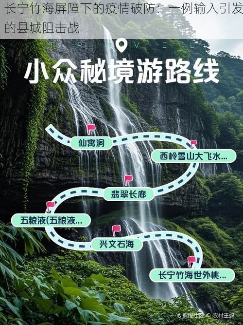 长宁竹海屏障下的疫情破防:一例输入引发的县城阻击战