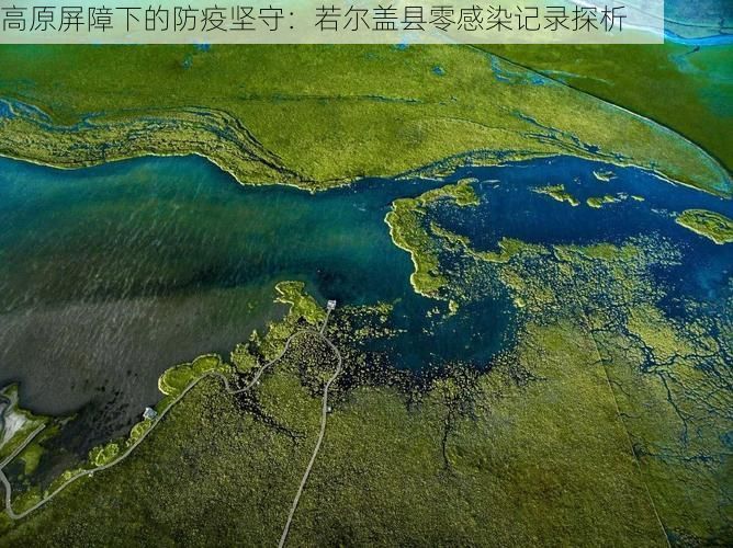 高原屏障下的防疫坚守：若尔盖县零感染记录探析