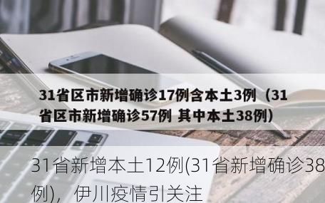 31省新增本土12例(31省新增确诊38例),伊川疫情引关注