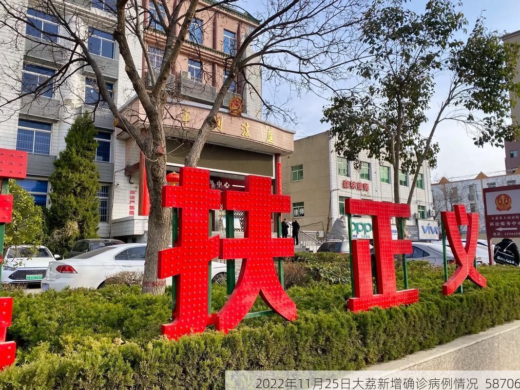 2022年11月25日大荔新增确诊病例情况_58706