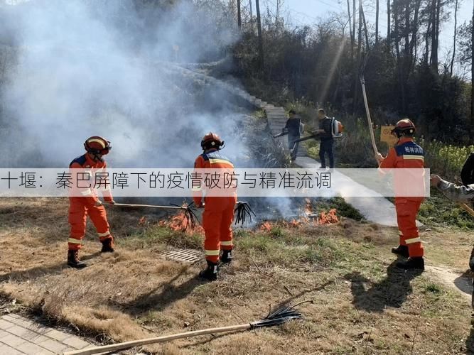 十堰：秦巴屏障下的疫情破防与精准流调