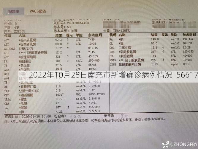 2022年10月28日南充市新增确诊病例情况_56617