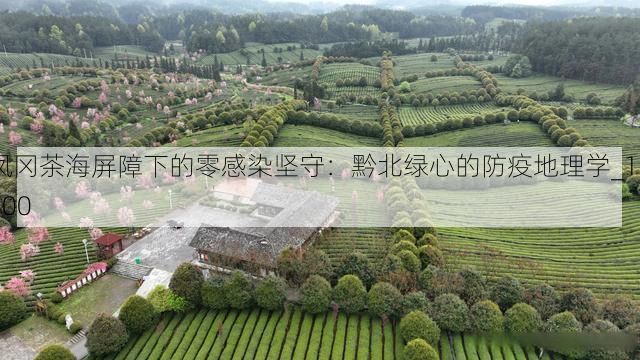 凤冈茶海屏障下的零感染坚守:黔北绿心的防疫地理学_18400