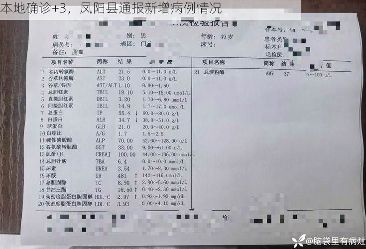 本地确诊+3,凤阳县通报新增病例情况