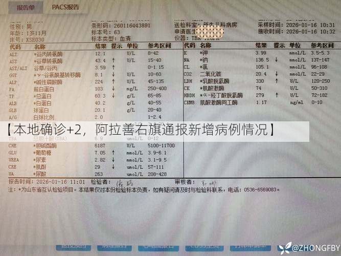 【本地确诊+2，阿拉善右旗通报新增病例情况】