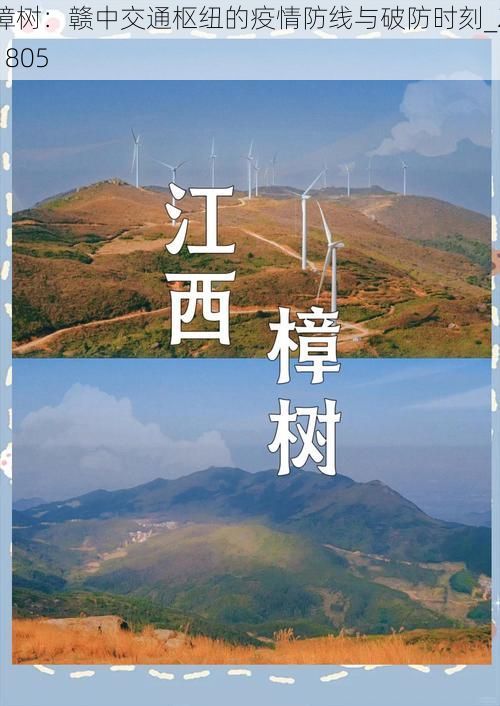 樟树：赣中交通枢纽的疫情防线与破防时刻_21805