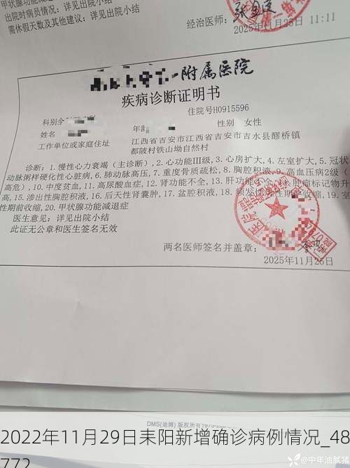 2022年11月29日耒阳新增确诊病例情况_48772