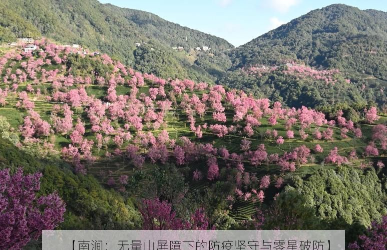 【南涧:无量山屏障下的防疫坚守与零星破防】