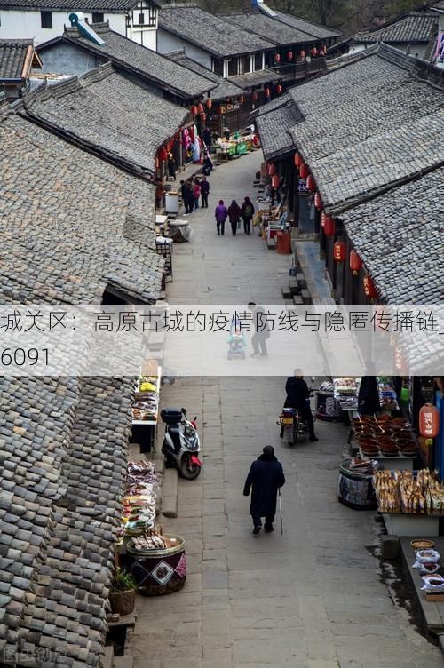 城关区:高原古城的疫情防线与隐匿传播链_76091