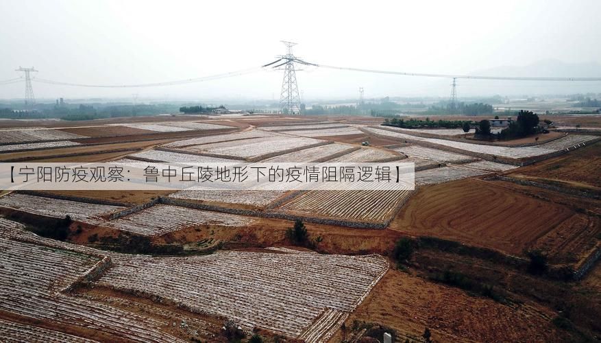 【宁阳防疫观察：鲁中丘陵地形下的疫情阻隔逻辑】
