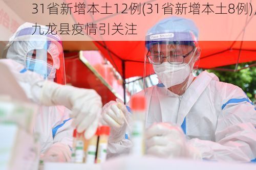 31省新增本土12例(31省新增本土8例)，九龙县疫情引关注