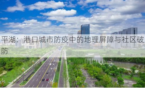 平湖：港口城市防疫中的地理屏障与社区破防
