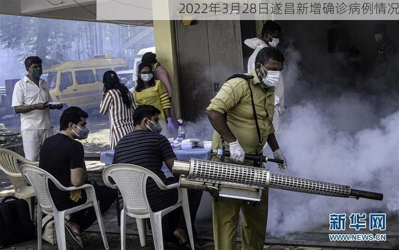 2022年3月28日遂昌新增确诊病例情况
