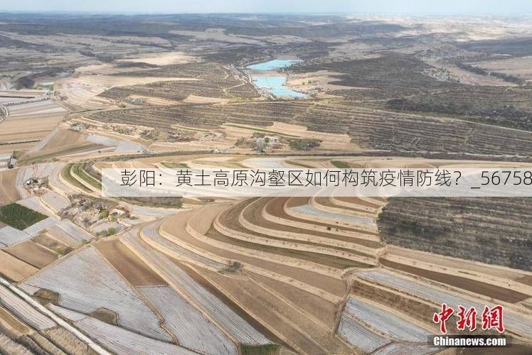 彭阳:黄土高原沟壑区如何构筑疫情防线?_56758
